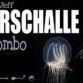 Jeff Marschalle